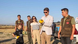 Van'da tedavi edilen kuşlar Erciş'teki doğal yaşam alanlarına bırakıldı