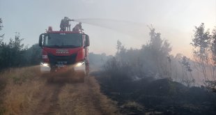 Bingöl'de çıkan orman yangını kontrol altına alındı