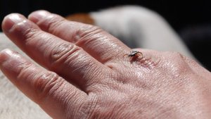 "Keneden korunun, çıplak elle dokunmayın"