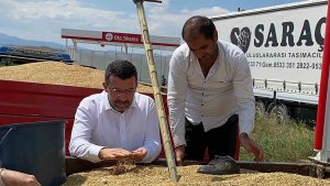 Milletvekili Çalkın, TMO alımlarını yerinde inceledi