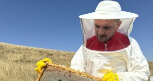 Kızılay'ın arıları ihtiyaç sahiplerine "şifa ve iyilik" getiriyor