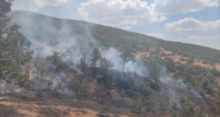 Bingöl'de çıkan orman yangını söndürüldü