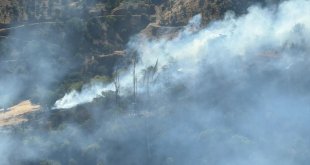 Malatya'da otluk alanda çıkan yangın bahçe ve ormanlık alana sıçradı