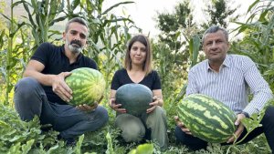 Hem öğretmen hem de çiftçi: Yetiştirdiği karpuzlar 20 kiloya ulaştı