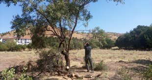 Sivrice Belediyesi Hazar Gölü çevresinde temizlik çalışması yaptı