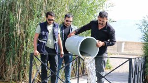 Erzincan'da barajlara 560 bin sazan balığı bırakıldı