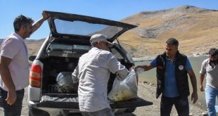 Van'da su kaynaklarına 400 bin sazan yavrusu bırakıldı