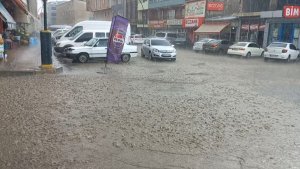 Ağrı'da sağanak etkili oldu