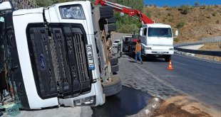 Bitlis'te küçükbaş hayvan yüklü tır devrildi