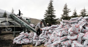 Darende'de ihtiyaç sahibi ailelere kömür dağıtılıyor