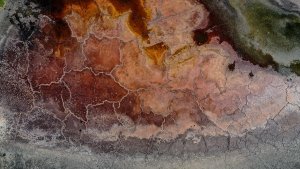 Ağrı Dağı'nın eteklerindeki bazı sulak alanlarda kuraklık yaşanıyor