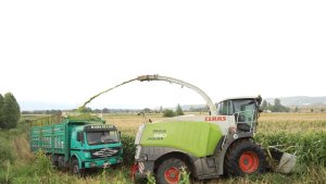 Sözleşmeli üretimle çiftçilerin yüzü güldü