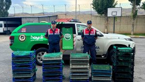 Ağrı'da bir araçta 300 kilogram canlı kurbağa ele geçirildi