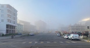 Ardahan'da yoğun sis etkili oldu