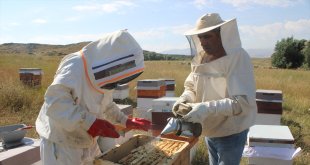 Ağrı'da bal hasadı sona erdi