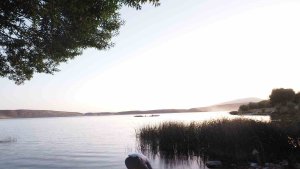 Aygır Gölü'ne 100 bin yavru sazan bırakıldı