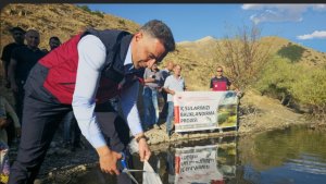 Tunceli'de 1 milyon 670 bin yavru sazan salındı