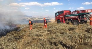 Bingöl'de merada çıkan yangın ormanlık alana sıçramadan söndürüldü