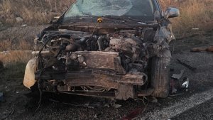 Ağrı'da otomobillerin çarptığı hayvanlar telef oldu, 3 kişi yaralandı