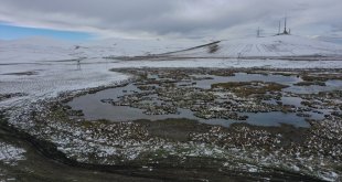 Kars'ta soğuk hava ve kırağı etkili oldu