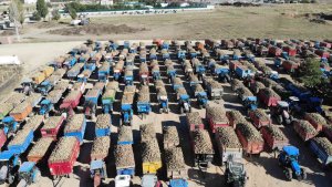 Şeker pancarının tarladan sofraya uzanan tatlı yolculuğu