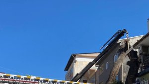 Iğdır'da tehlike arz eden ağaçlara müdahale