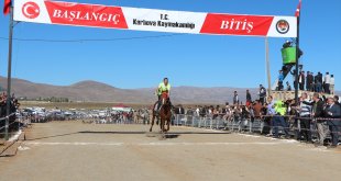 Bingöl'de geleneksel at yarışları yapıldı