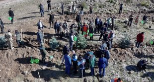 Palandöken Dağı ağaçlandırıldı