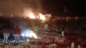 Yüksekova'da Nehil sazlığı cayır cayır yandı
