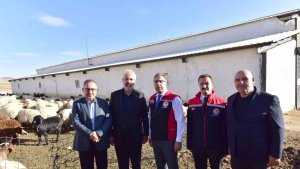 Tarım ve Orman Bakan Yardımcısı Gümen, Ahlat'ta tarım ve hayvancılık tesislerini gezdi