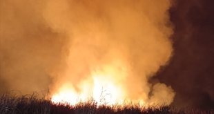 Hakkari'de sazlık alanda çıkan yangın söndürüldü