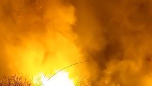 Yüksekova'da kuş cenneti alev alev yandı