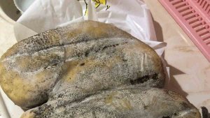 Erzurum Karın Kaymağı Peyniri coğrafi işaret yolunda