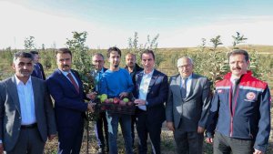Vali Karakaya, Ahlat'ta elma bahçesini gezdi