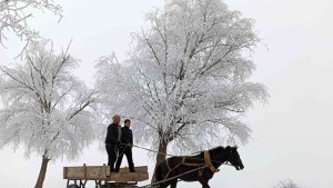Türkiye'nin en soğuk yeri Palandöken oldu