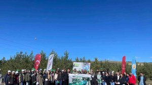 "Orman Benim" diyerek kolları sıvadılar