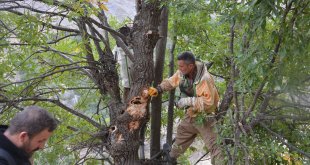 Hakkari'de 29 yıl sonra özel izinle gittikleri köylerinin zorlu arazisinde kaya balı topladılar