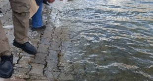 Malatya'da Karakaya Baraj Gölü'ne 750 bin balık yavrusu bırakıldı