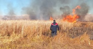 Yüksekova Nehil Sazlığı'nda çıkan yangın söndürüldü