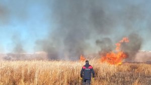 Yüksekova Nehil sazlığında başlayan yangın kontrol altına alındı