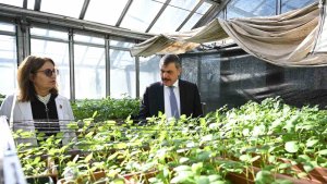 Vali Çiftçi'ye Tarımsal Araştırma Enstitüsü brifingi