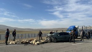 Ağrı'da otomobilin çarptığı 20 küçükbaş hayvan telef oldu