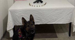 Bingöl'de arama kaydı bulunan 1'i hükümlü 3 kişi yakalandı