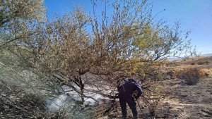 Arguvan Dolaylı Mahallesi'nde anız yangını