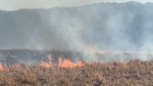 Yüksekova'da onlarca kuş türünün yaşadığı Nehil Sazlığı yanıyor