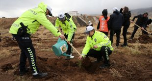 Van ve Bitlis'te fidanlar toprakla buluşturuldu