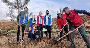 Diyarbakır, Bingöl, Şırnak ve Siirt'te fidanlar toprakla buluşturuldu