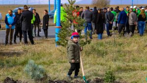 Ardahan'da 500 adet fidan toprakla buluştu