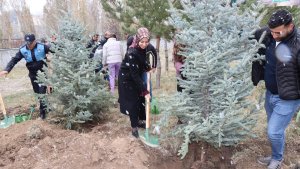 Tercan'da geleceğe nefes için fidan dikildi