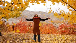 Fotoğraf kursiyerlerinden bağköylerinde sonbahar gezisi